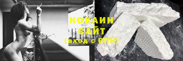 шишки Абинск