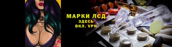 шишки Абинск
