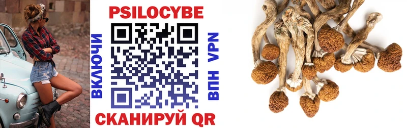 Галлюциногенные грибы ЛСД  это как зайти  Рыльск 